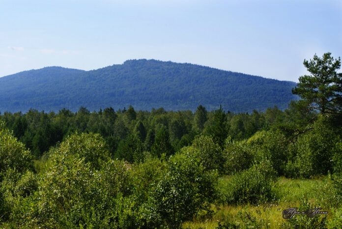 Фото: Департамент информационной политики Свердловской области