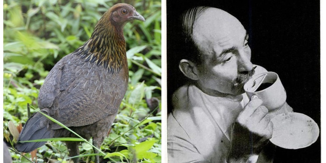 10 удивительных фактов, которые изменят ваши представления об истории