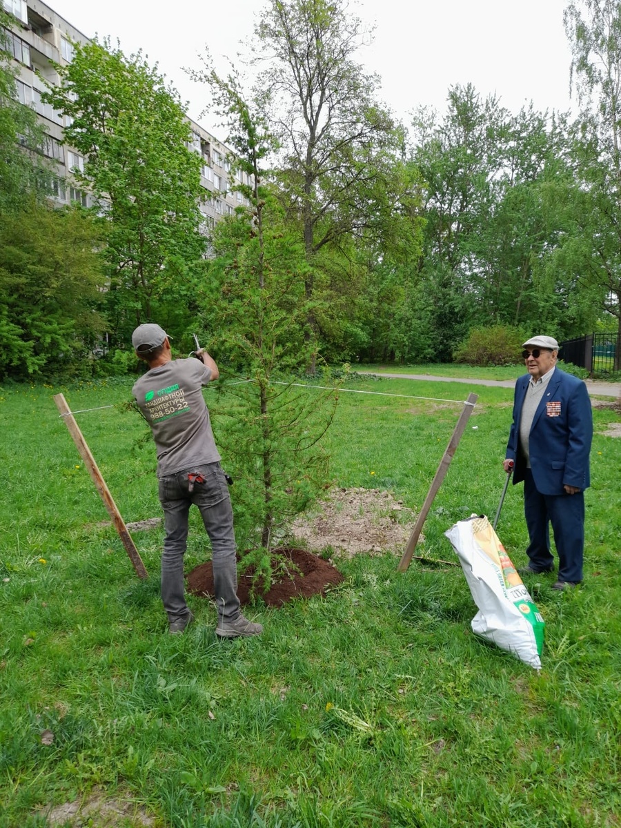 Немного юмора.     https://studiolandscape.ru/