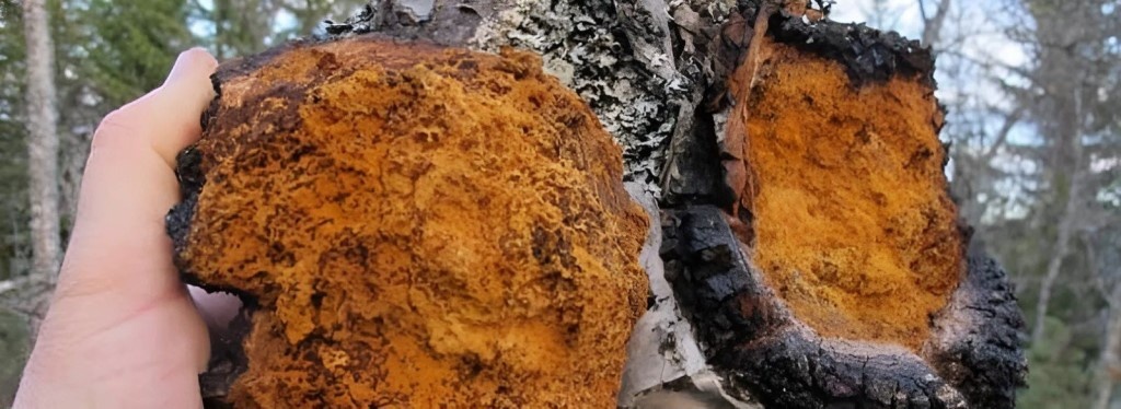 Фотография из интернета