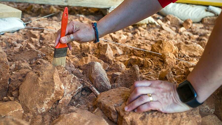    Фото: Global Look Press