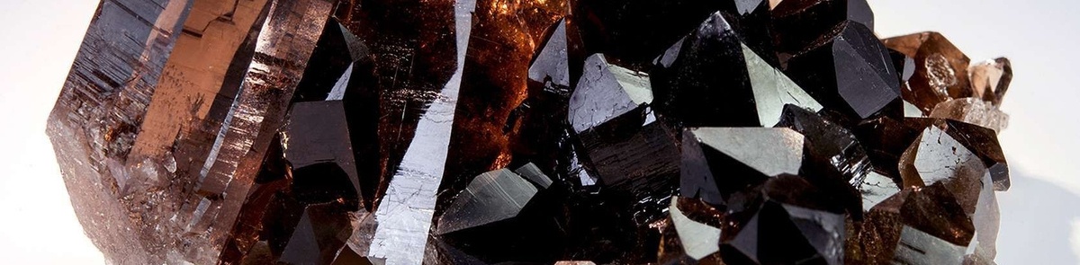 Для контактов: angelica.keiner@yandex.ru или floransia@yandex.ru