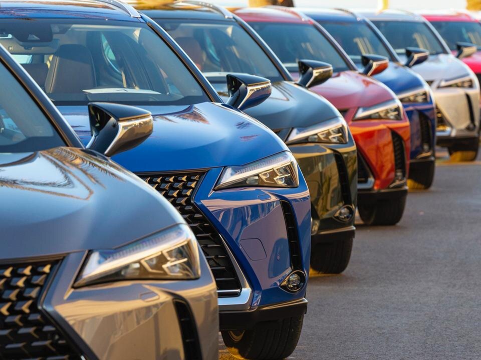    Фото: istockphoto.com/Tramino