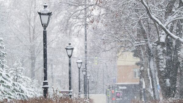   © РИА Новости Крым . Дмитрий Макеев