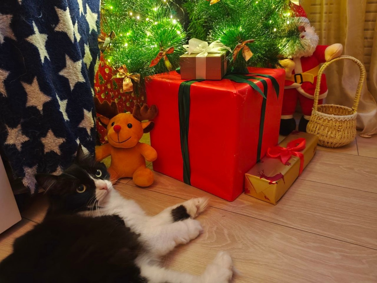 Ещё ниже. Хотя куда уж лучше? Вряд ли какие-то там книжки могут сравниться с несравненной Жозефиной. 