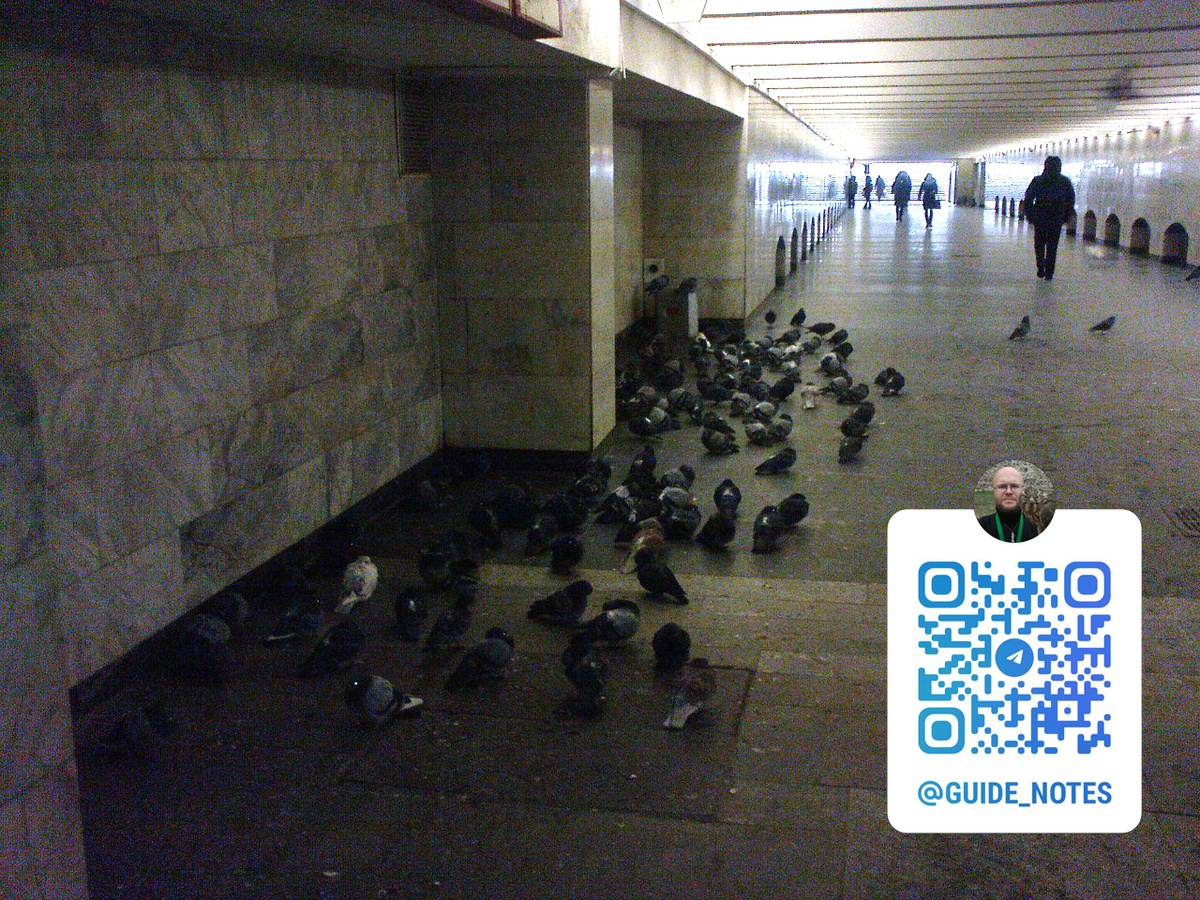 Птицы в переходе станции метро 15 марта 2013 года (фото Иода Н.В)