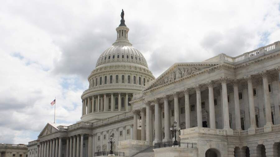    Фото: Global Look Press/Evan Golub