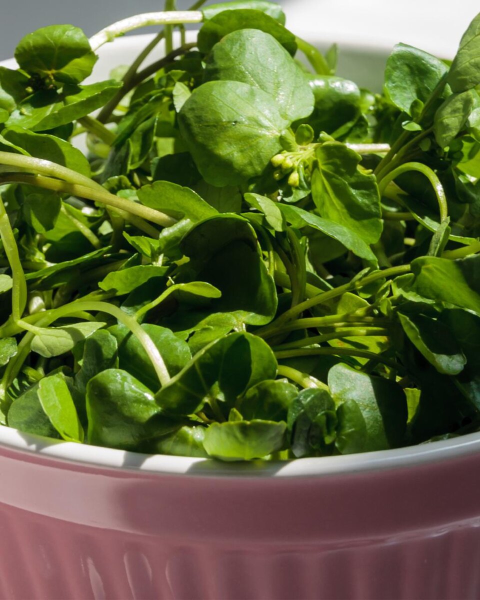 Источник фото: Canva