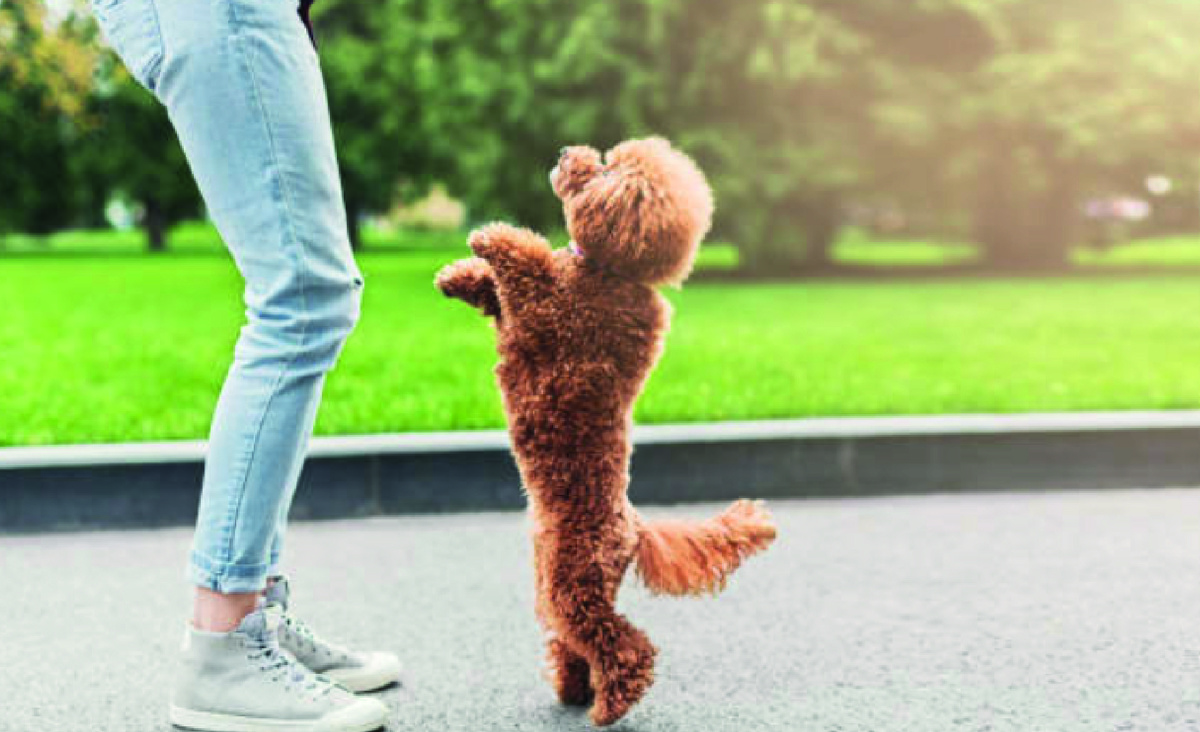 Фото - istockphoto.com, PAVEL SLIZHUK.