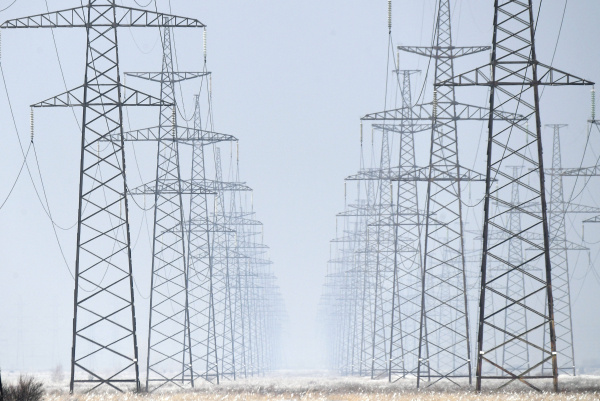 Фото: РИА Новости/Илья Наймушин
