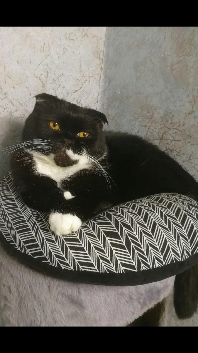 иллюстрация из яндекс картинки.