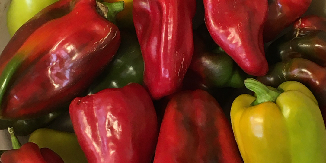 Перцы- любовь не с первого взгляда.