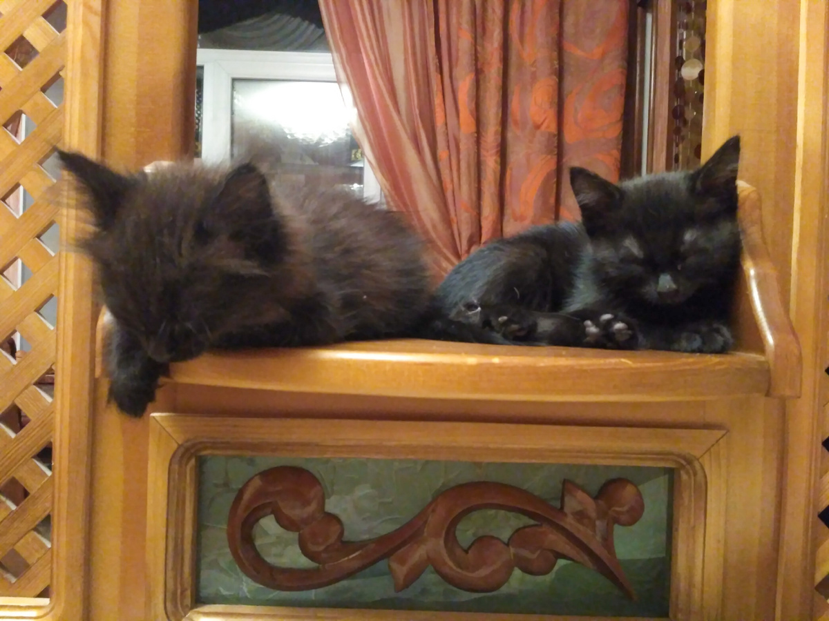 Маленькая Тося и её  сестра 