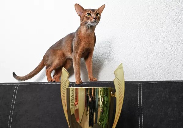 © Sputnik / Екатерина Чеснокова