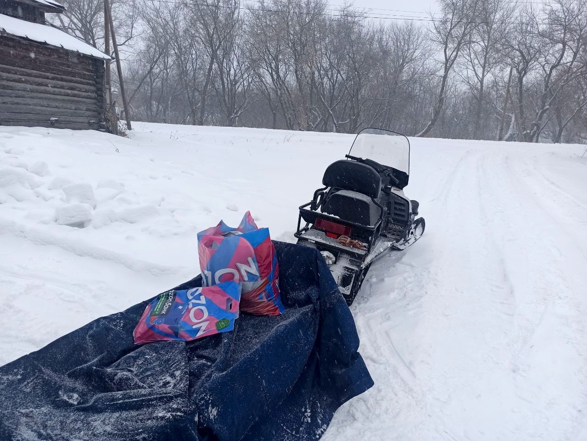 Грузим Озон, домой