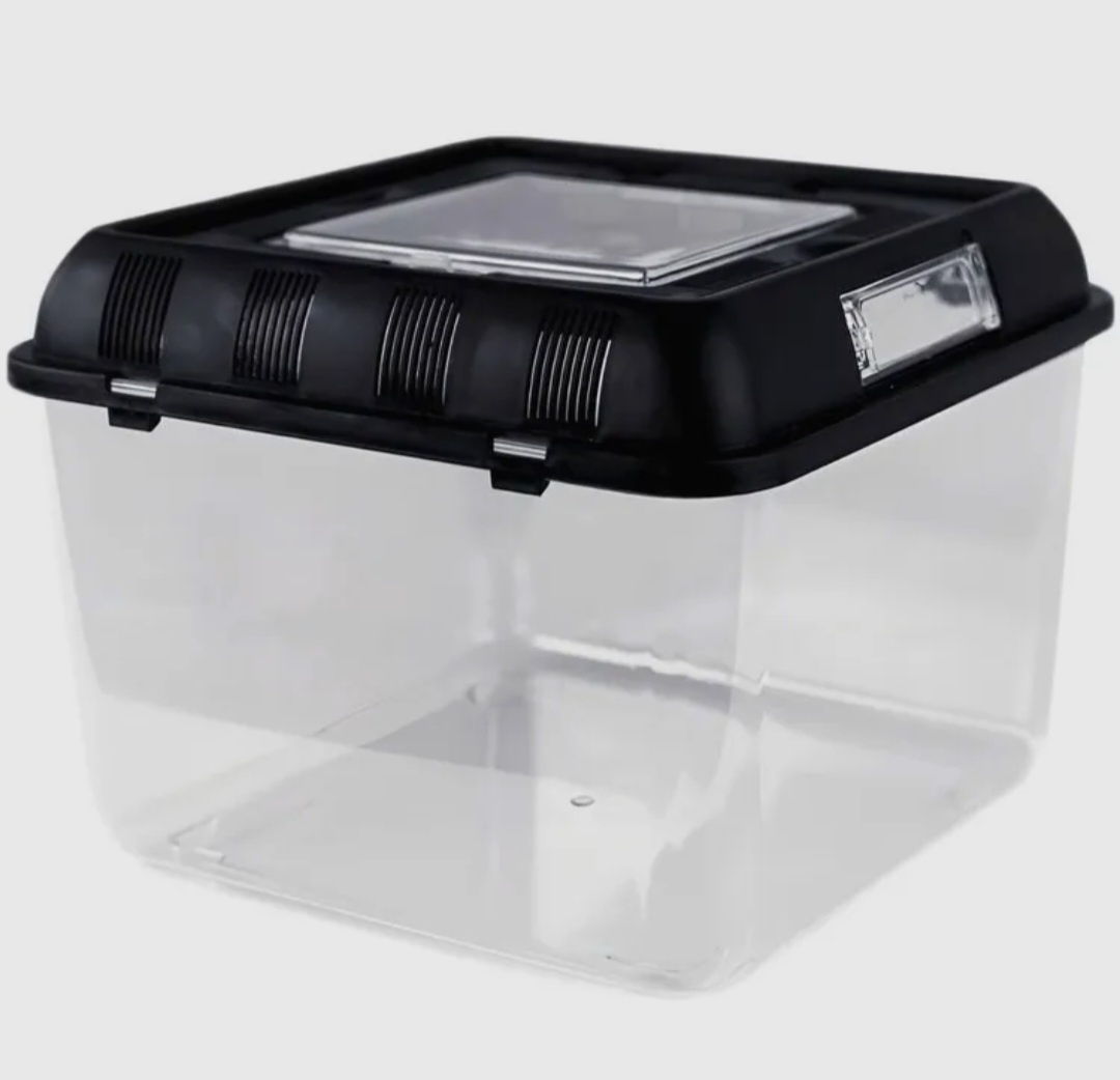 Сейчас думаю, что стоило заказать размер больше, улитки все-таки растут, им необходимо место. Со временем поменяем.