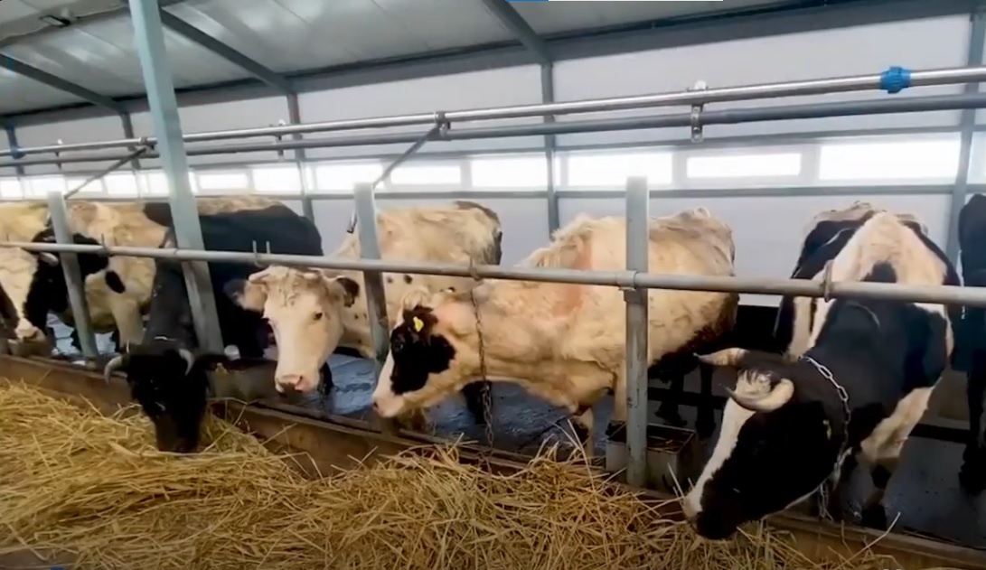    Скриншот видео из МАХ-канала Вячеслава Федорищева