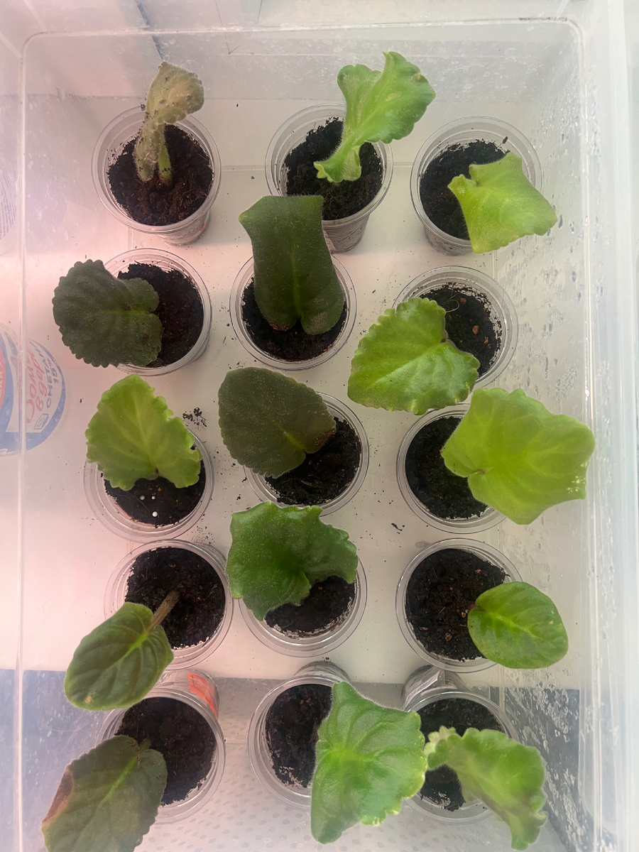 Часть богатства 