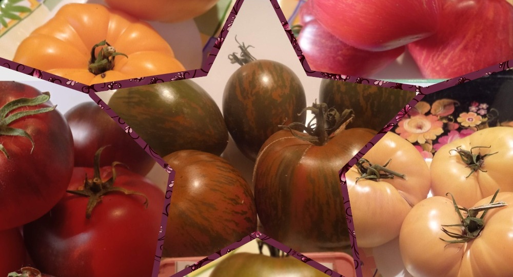 Семена в январе