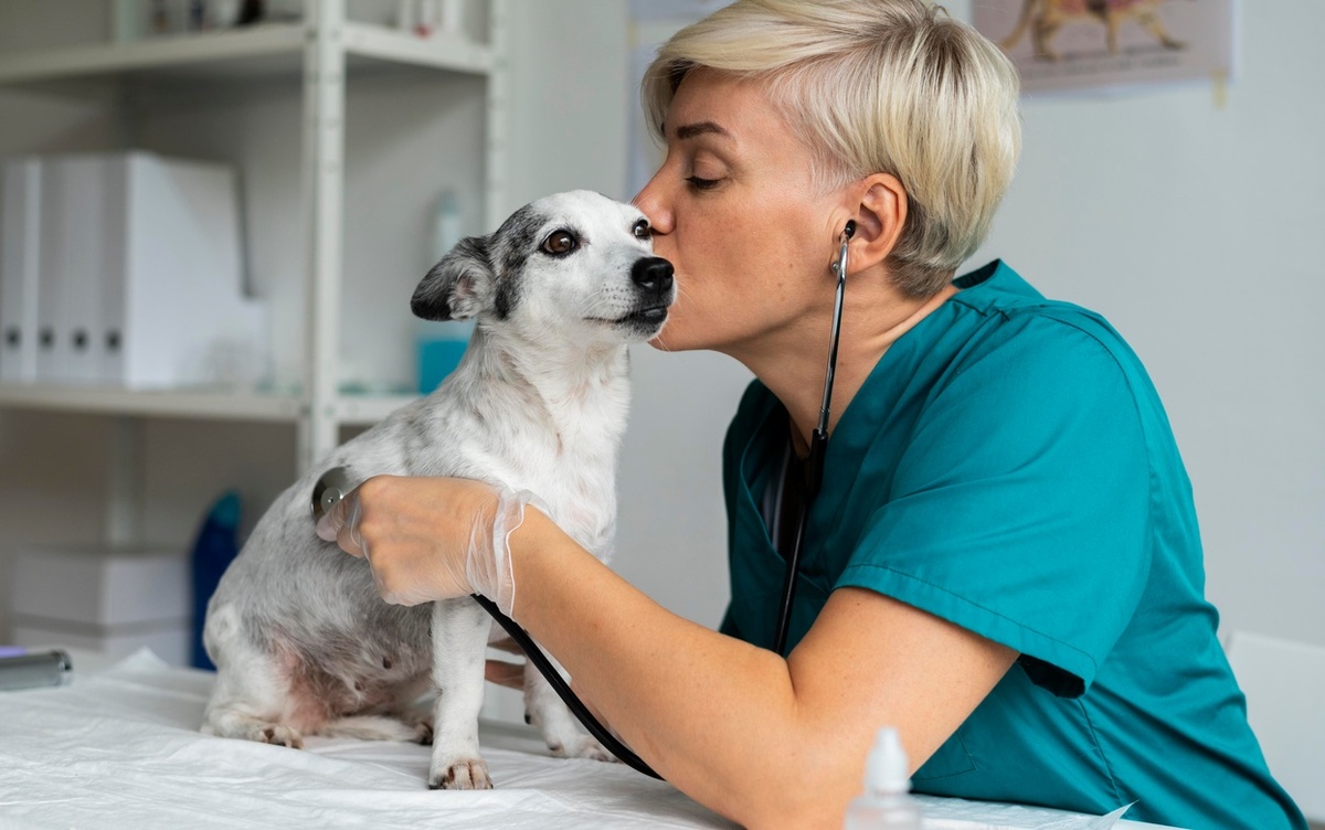   Возьмите за правило: эти пять ветеринарных процедур продлят вашему питомцу жизнь