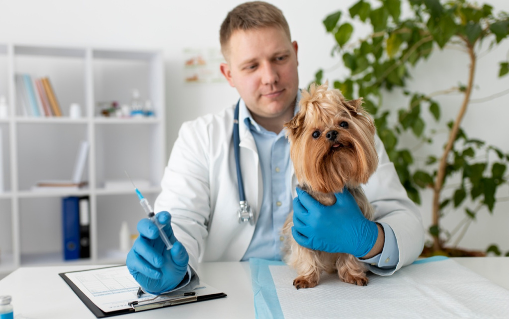  Вакцинирование – неприятная, но жизненно важная процедура. Фото: Freepik.com