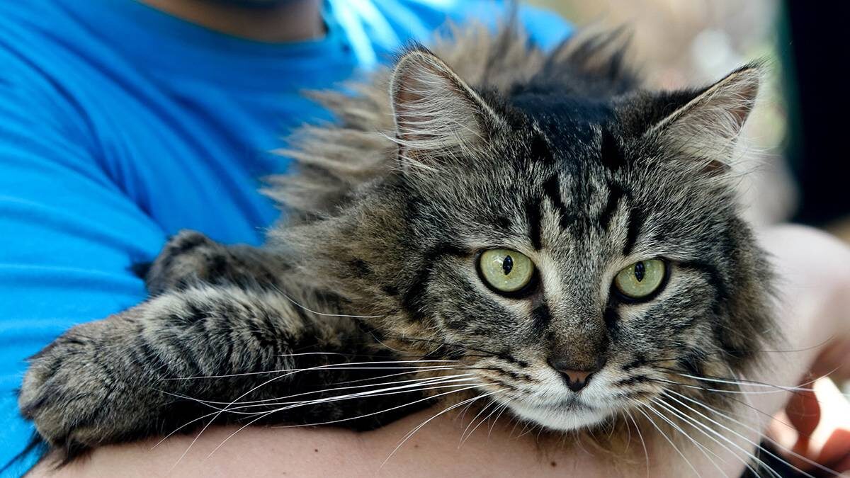    Фото: Ярослав Чингаев / АГН Москва