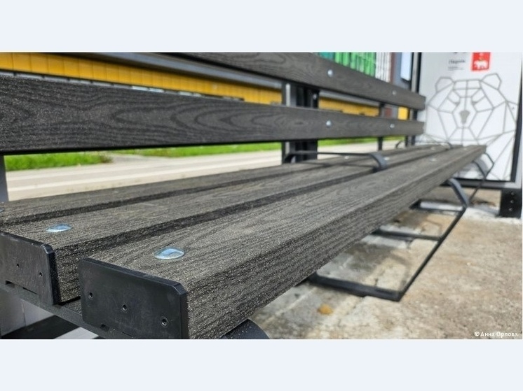     Анна Орлова