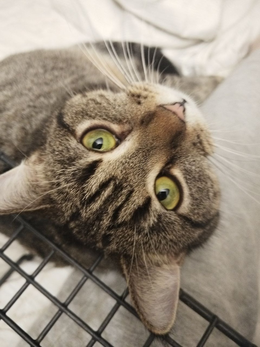 Щечки показываю