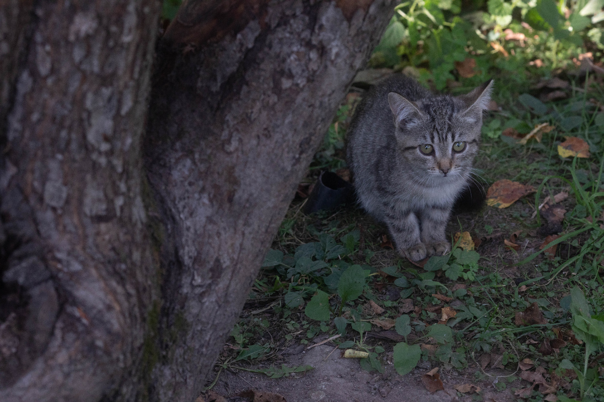 Это я еще до болезни. Вовремя девчата за мной приехали тогда
