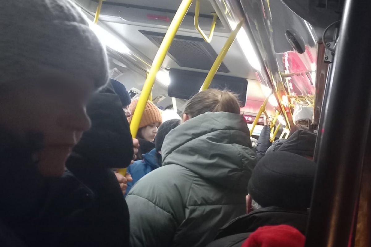    Злой Кировчанин, ВК