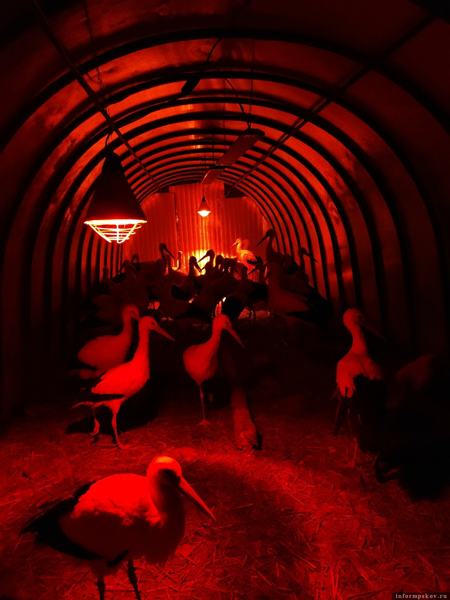 Фото: Марина Сиденко