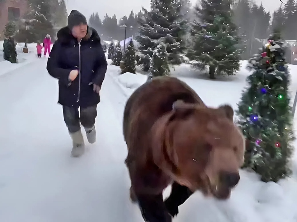    Фото: t.me/umar_kremlev