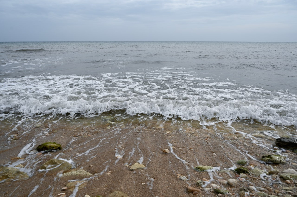 Фото: Гала Амарандо