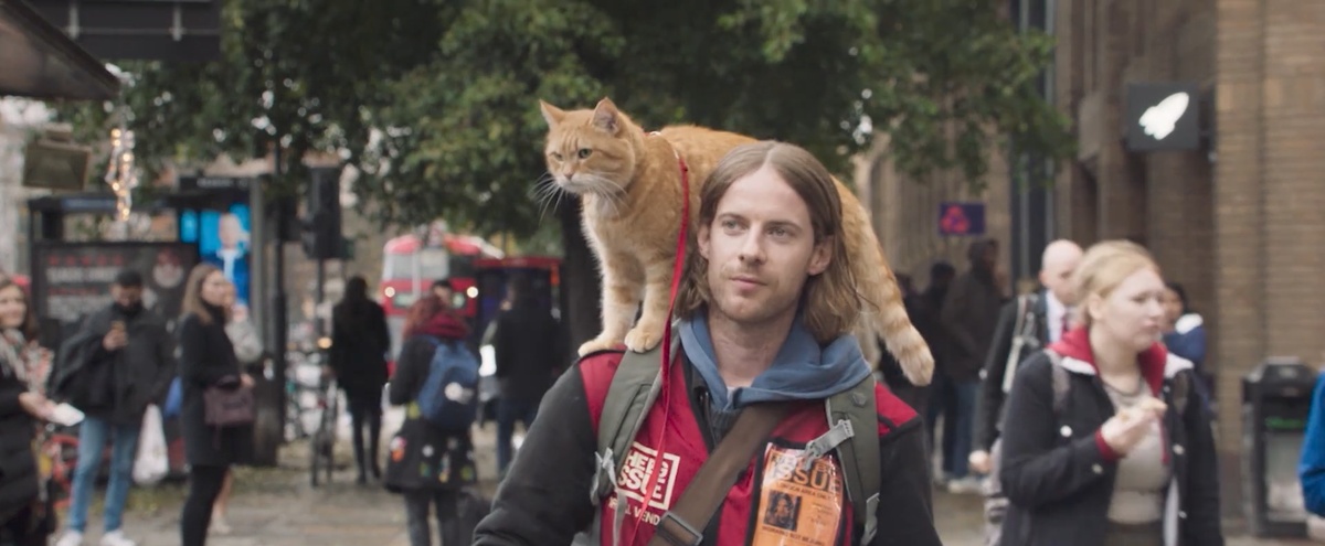 Кадр из фильма «Рождество кота Боба». Этот и другие кадры смены мной.