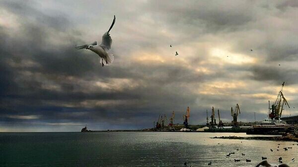    © РИА Новости Крым