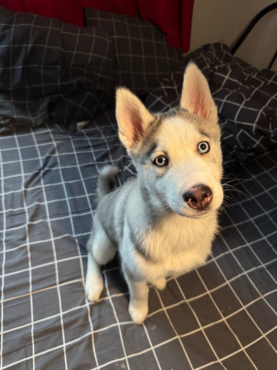 Я хороший, просто не повезло