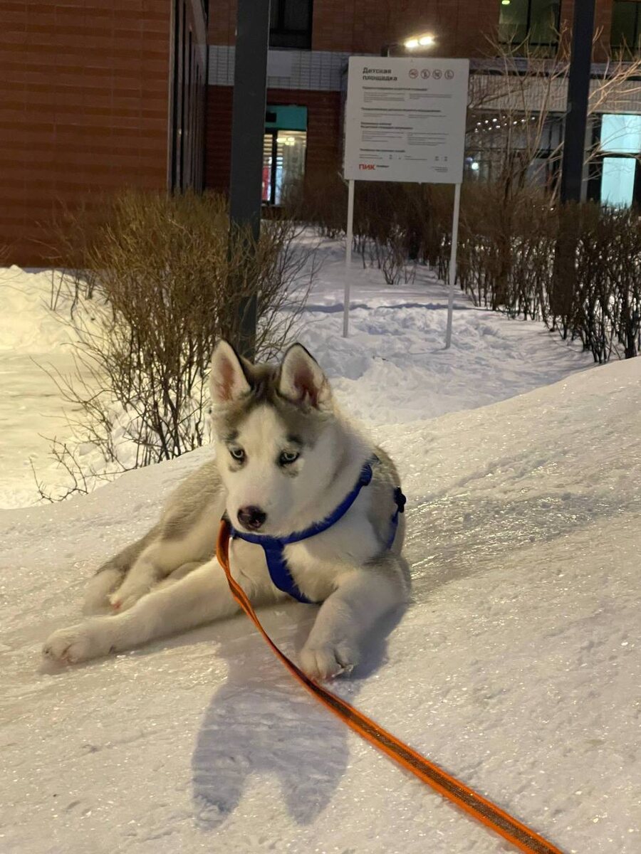 Говорят, я не дома