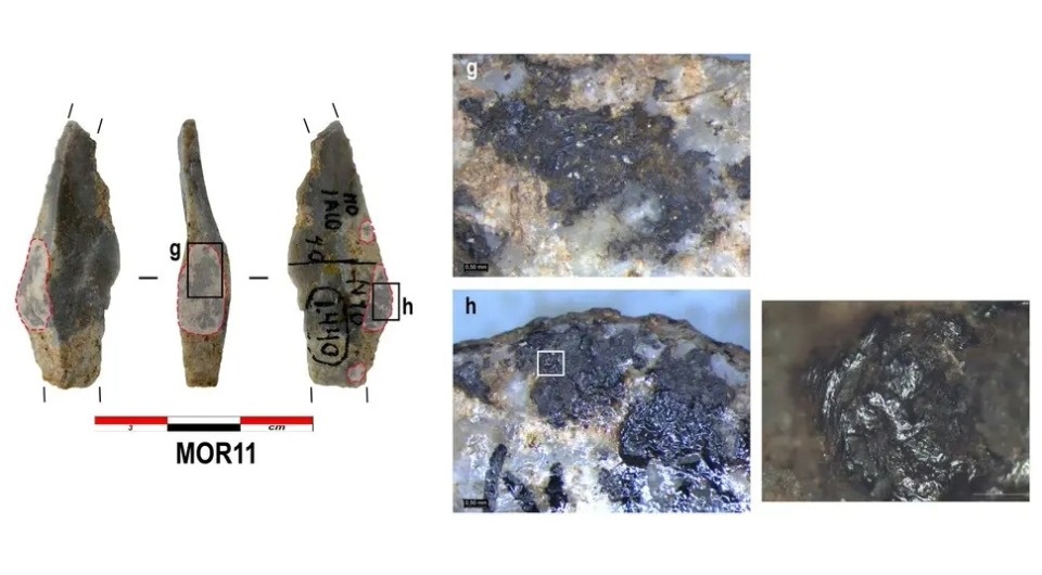   Alessandro Aleo et al. / Journal of Paleolithic Archaeology, 2026