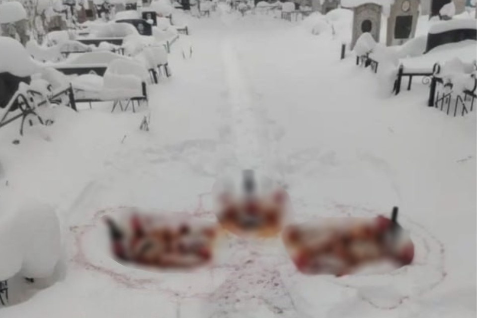    На кладбище нашли странные предметы. Фото: yarnews.net