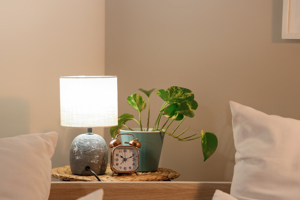 Фото: Shutterstock