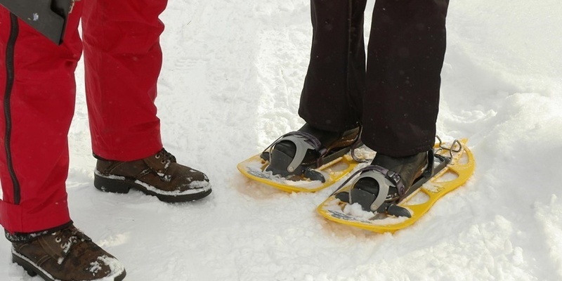 Снегоступы.  фото: яндекс.