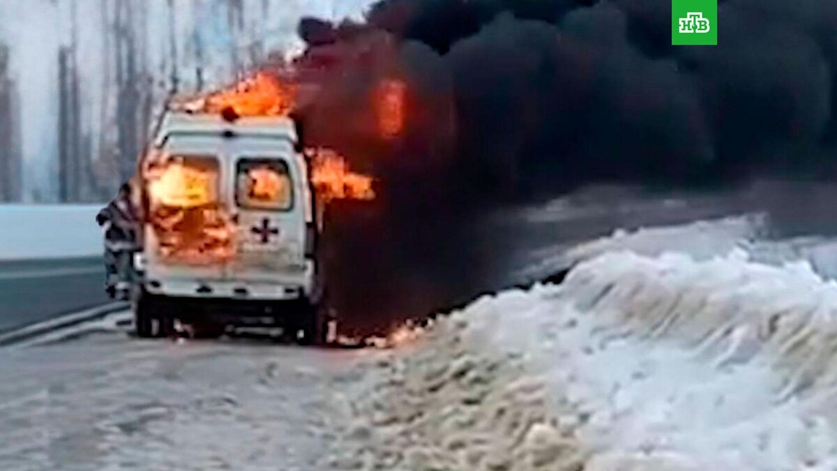    Фото: Cherevko_Sergey_Nikolaevich / t.me