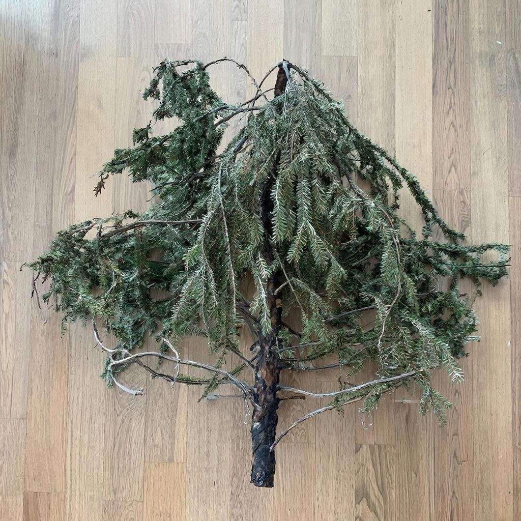 Сгенерировано ИИ