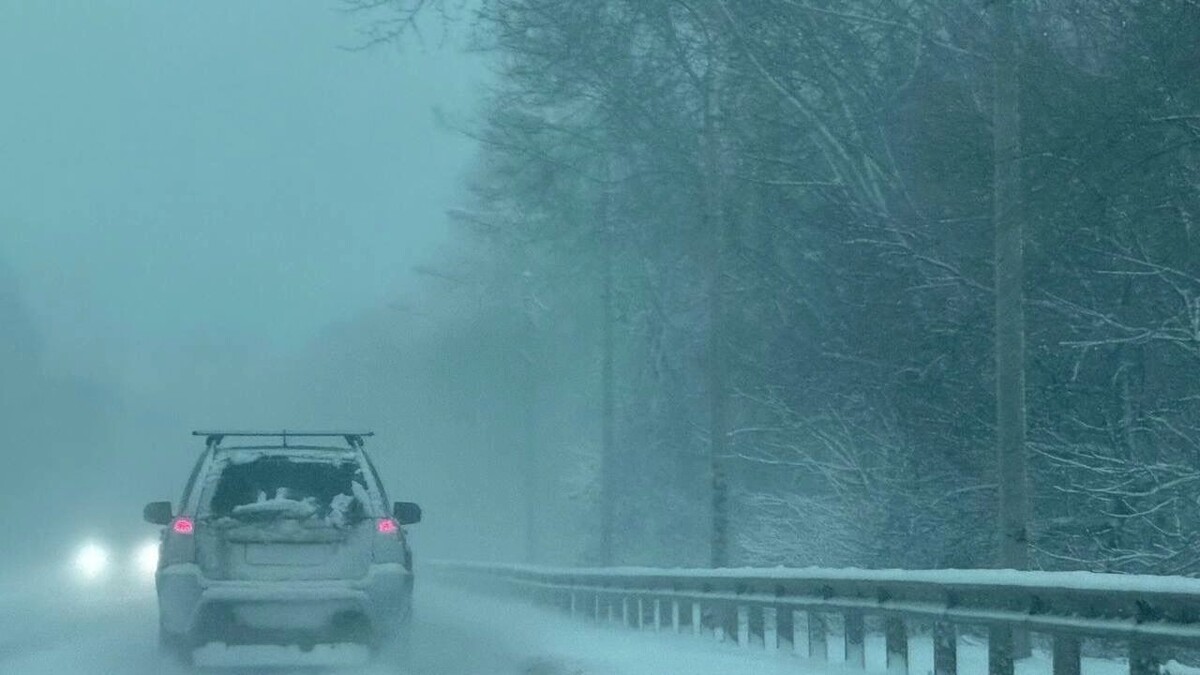    Зима только начинается: точный прогноз снегопадов в Ростове-на-Дону   rostovgazeta.ru