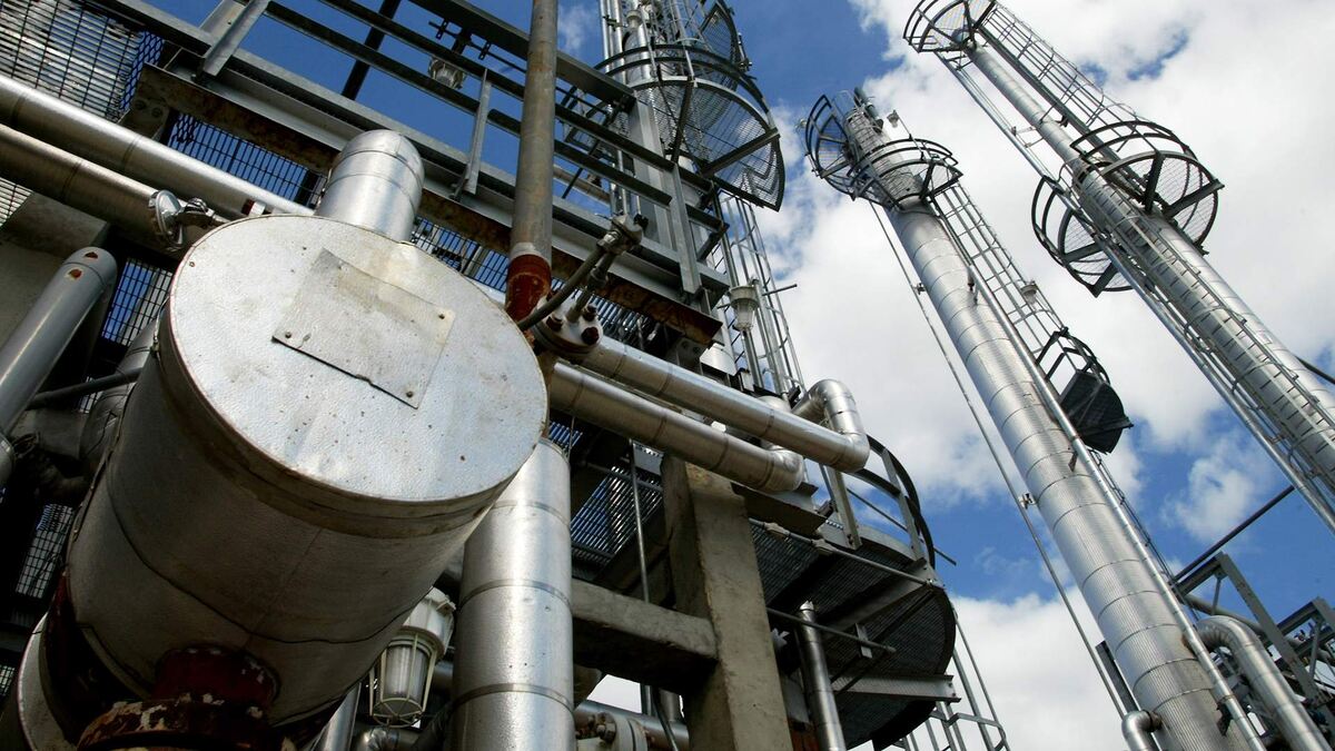 Фото: ИЗВЕСТИЯ/Александр Корольков