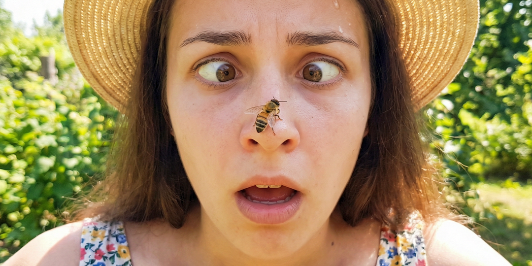 Узнаю́т ли пчёлы своего хозяина в лицо?