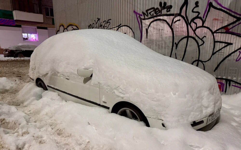    Фото: "Брянские новости"