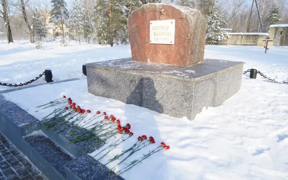    Фото: Телеграм-канал Александра Богомаза