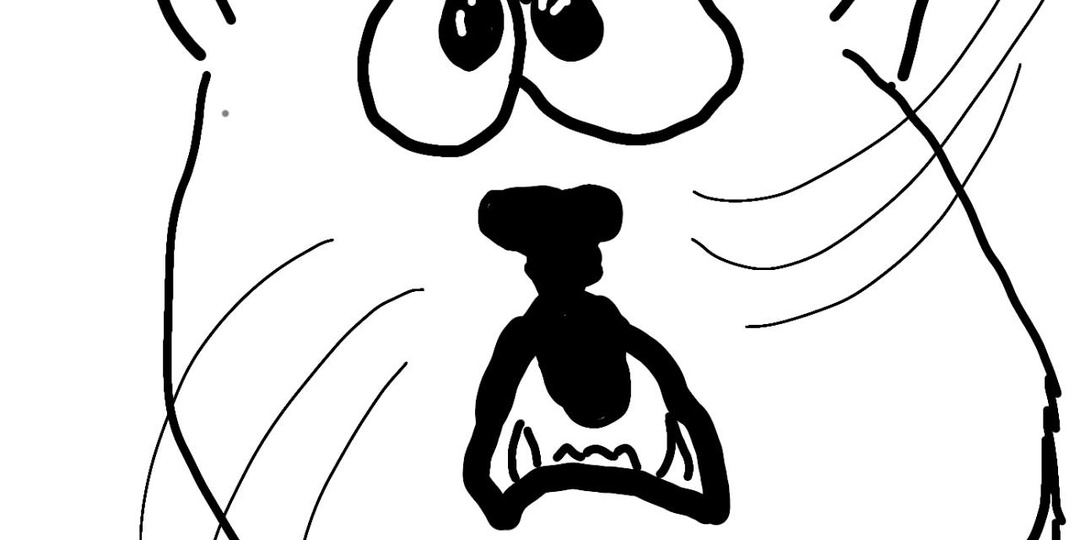 Хроники одного ремонта