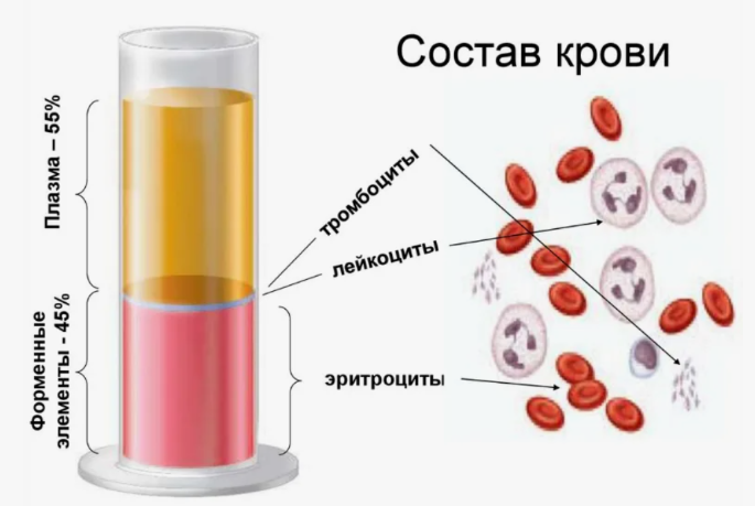 https://maximumtest.ru/uchebnik/8-klass/biologiya/vnutrennyaya-sreda-organizma-krov